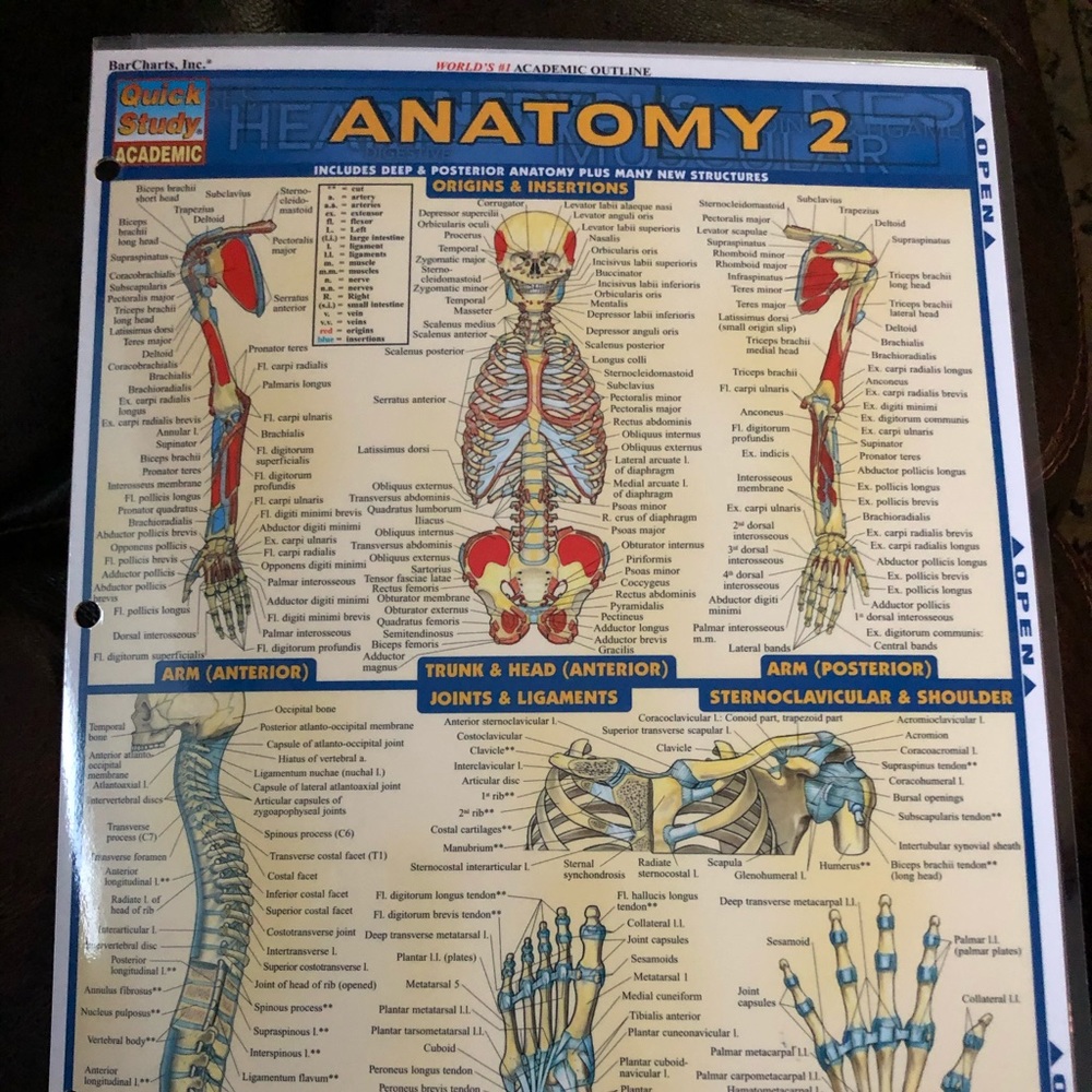 NWOT.  5 KIDS QUICK STUDY ACADEMIC CHARTS